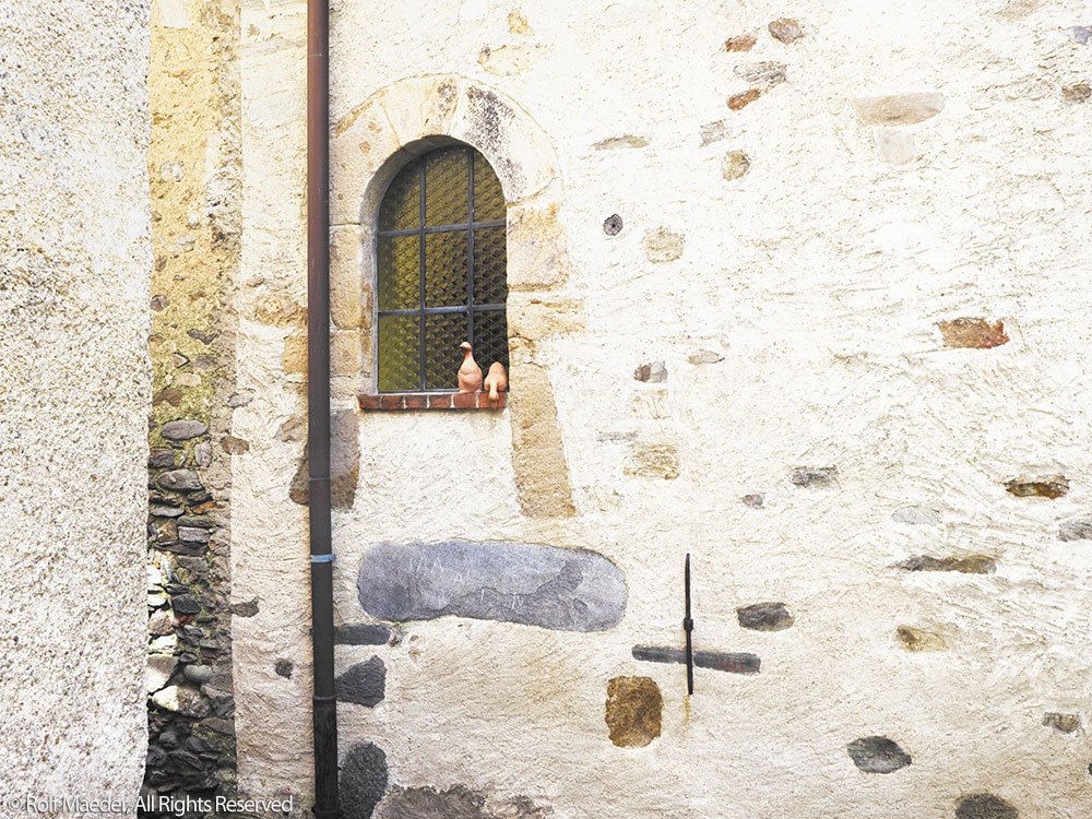 _8210064-print