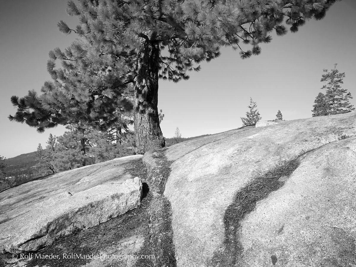 _MG_3115-CO12-2