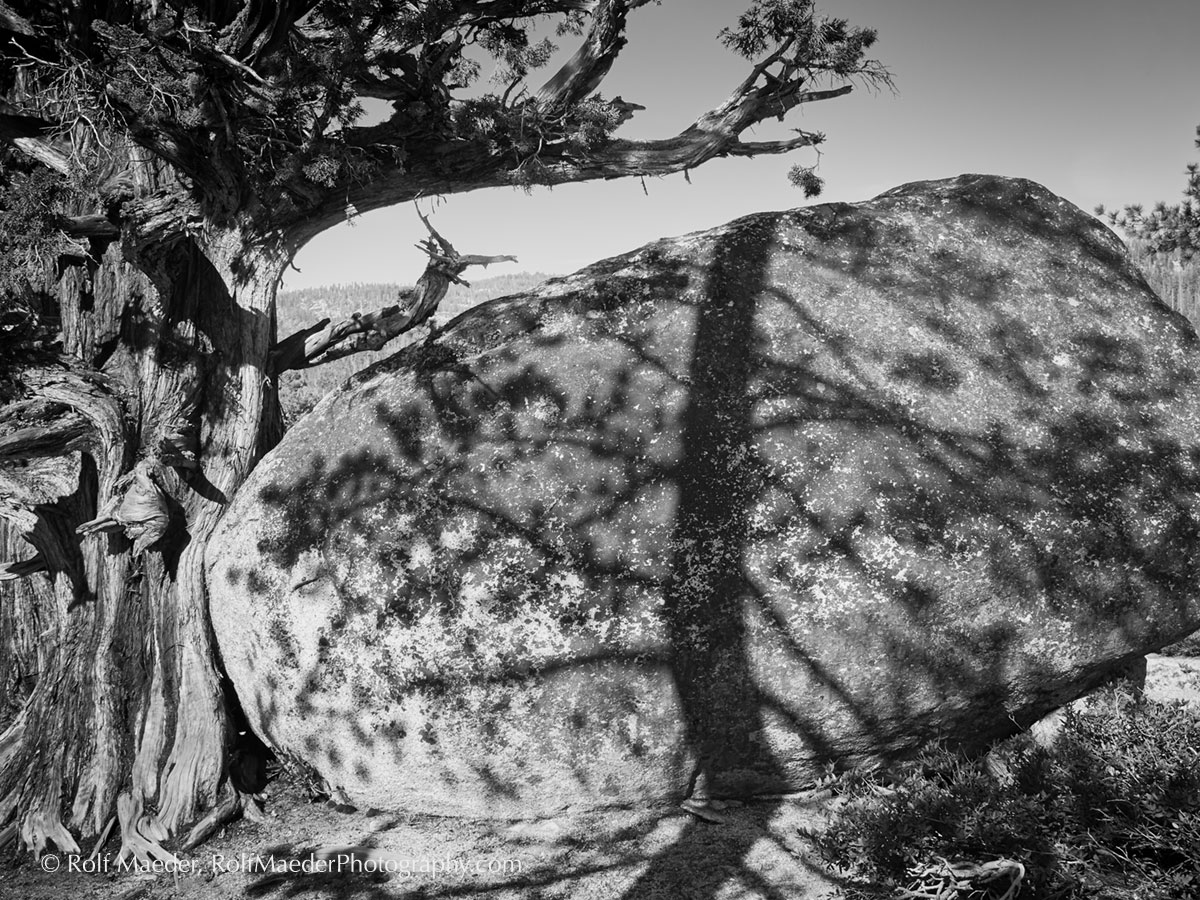 _MG_3176-CO12-2