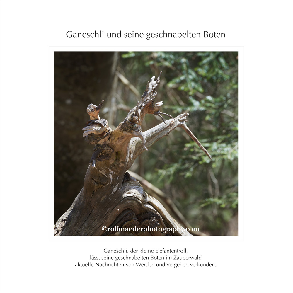 ganeschli