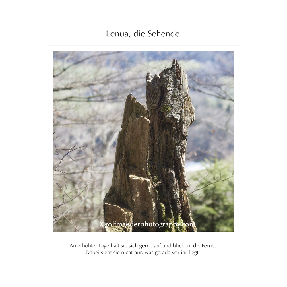 lenua