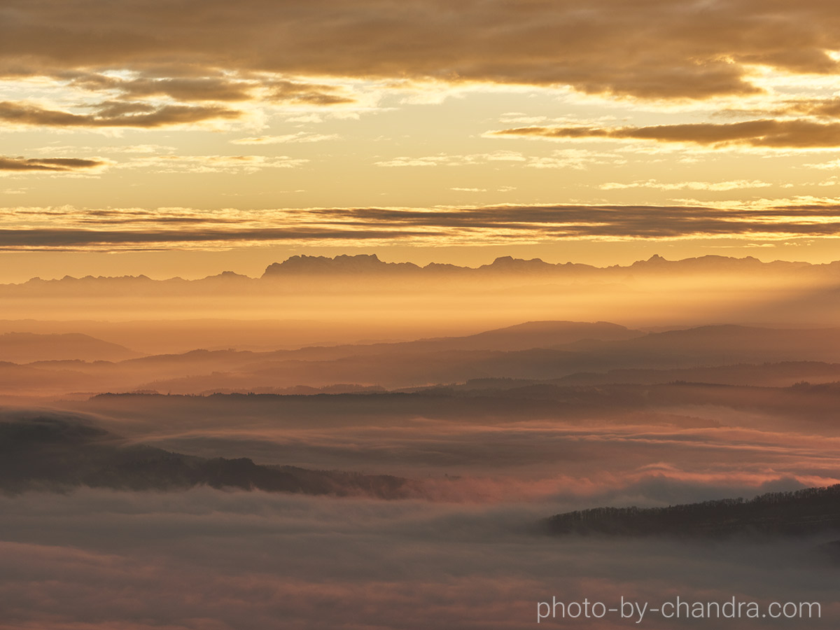 Foresight to the Alps
