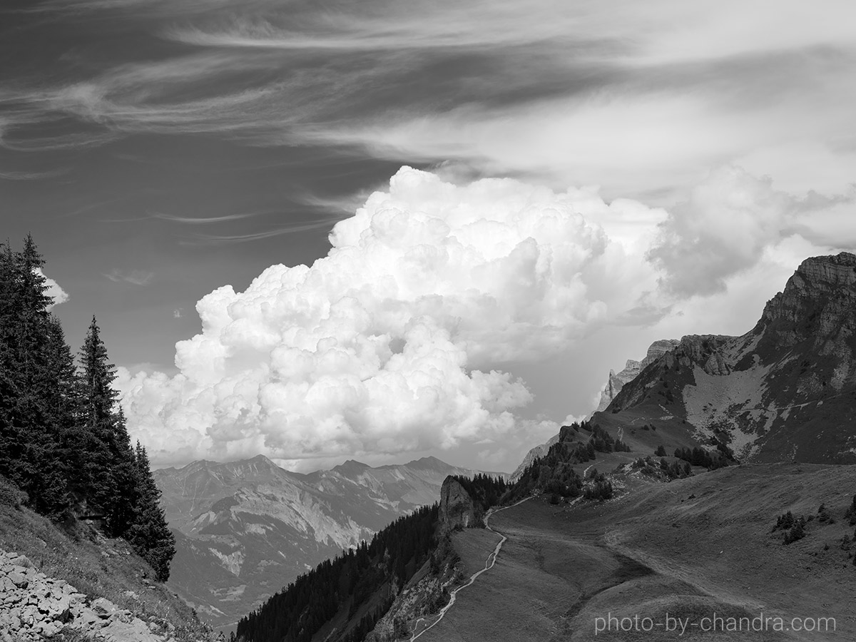 Schynige Platte