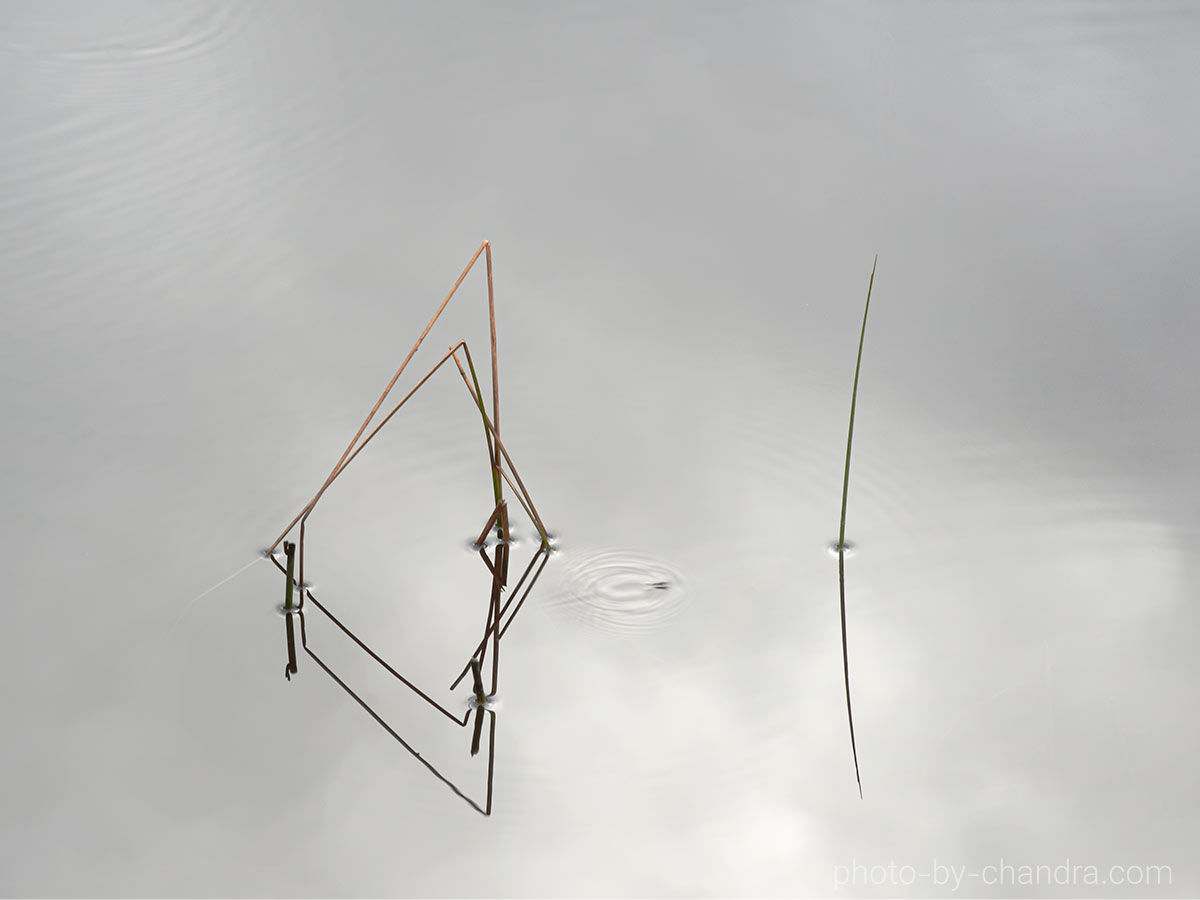 _CHC4534-CO20-web