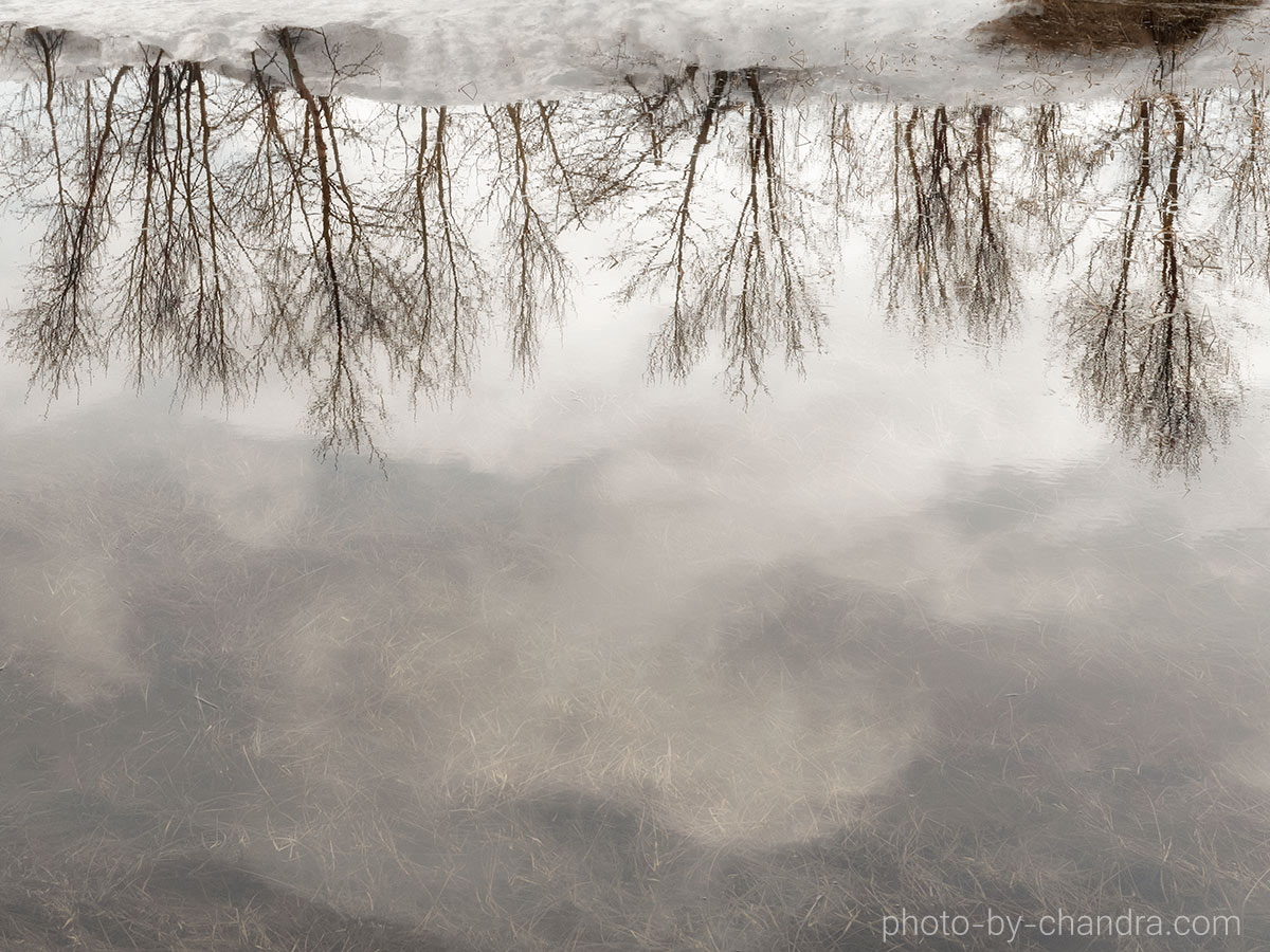 _CHC4680-CO20-web