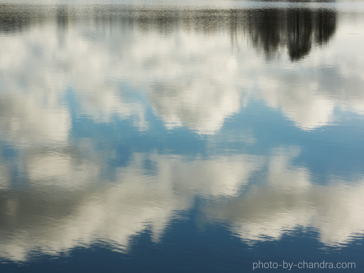_CHF2855-CO20-web