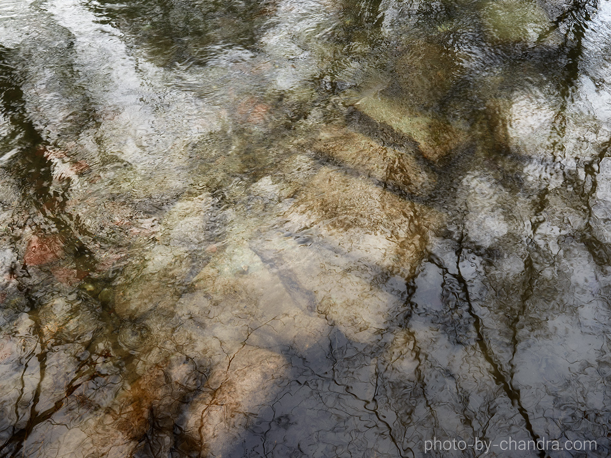 _CHH2389-CO20-web