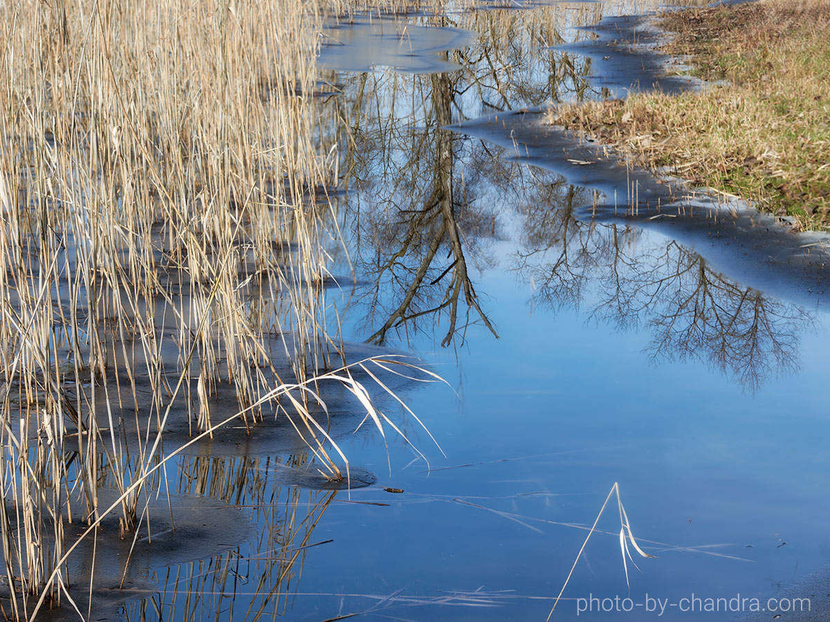 _CHH2654-CO20-web