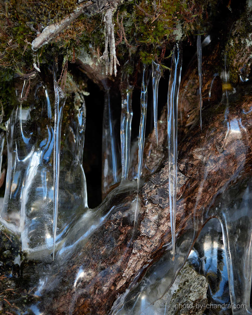 _CHH7263-CO22-web
