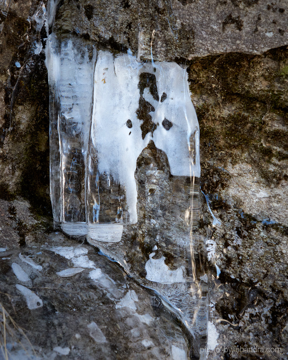 _CHH7270-CO22-web