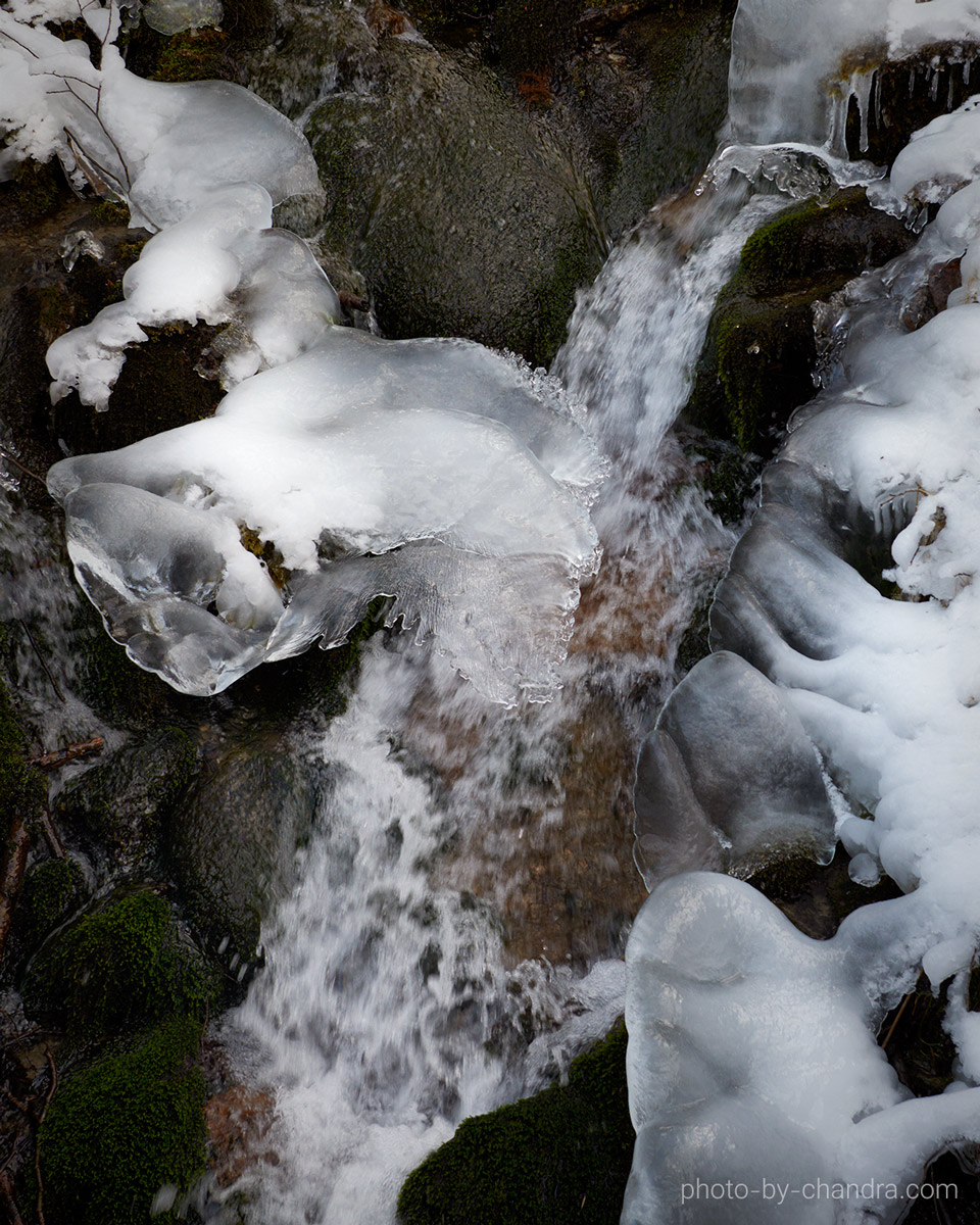 _CHH7311-CO22-web