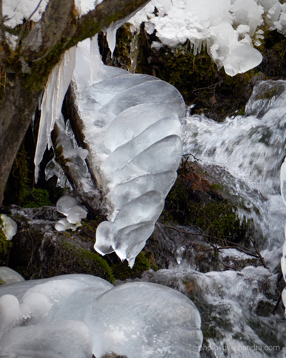 Winterwasserwelten