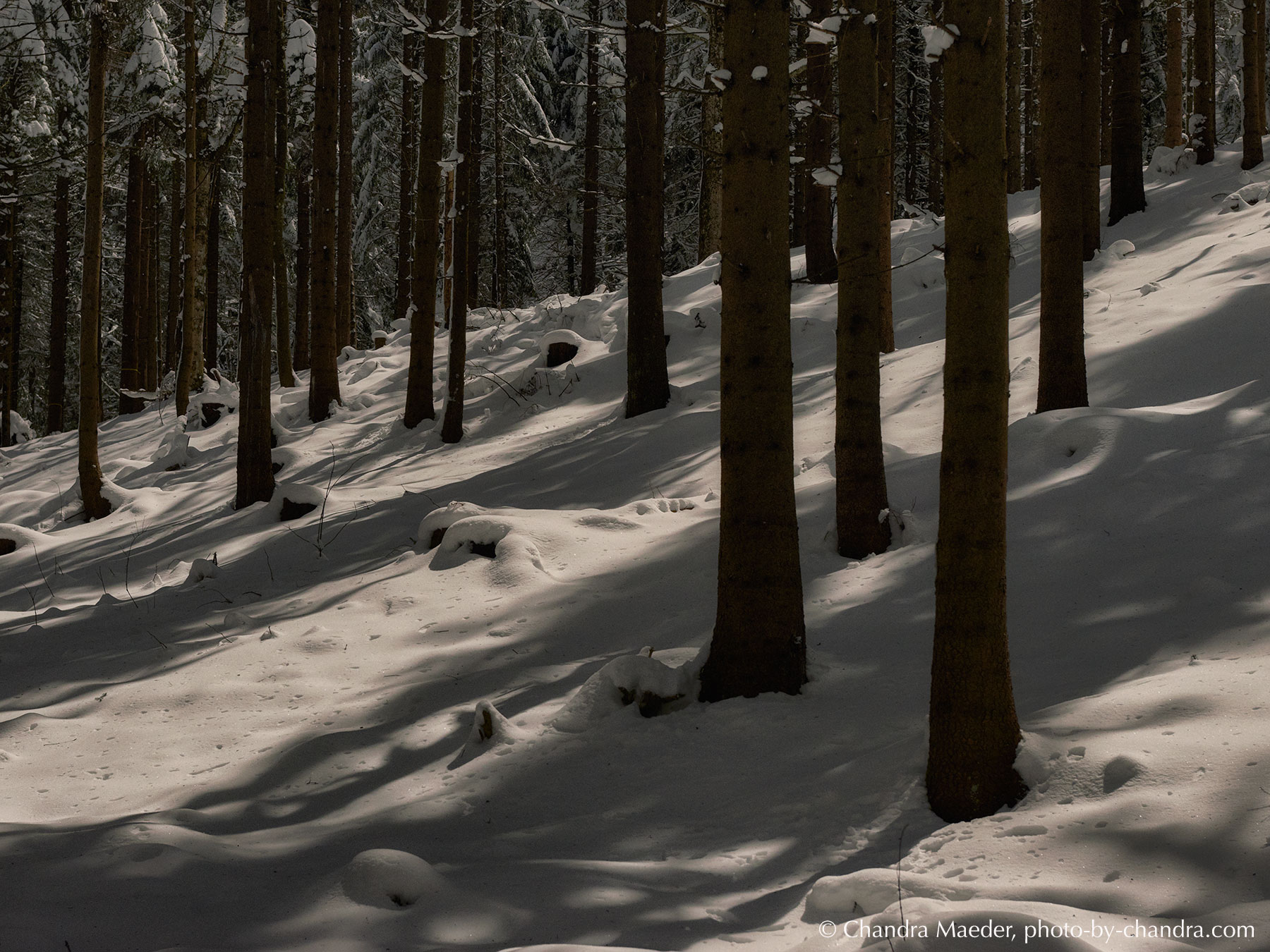 150101_0101-CO20-web