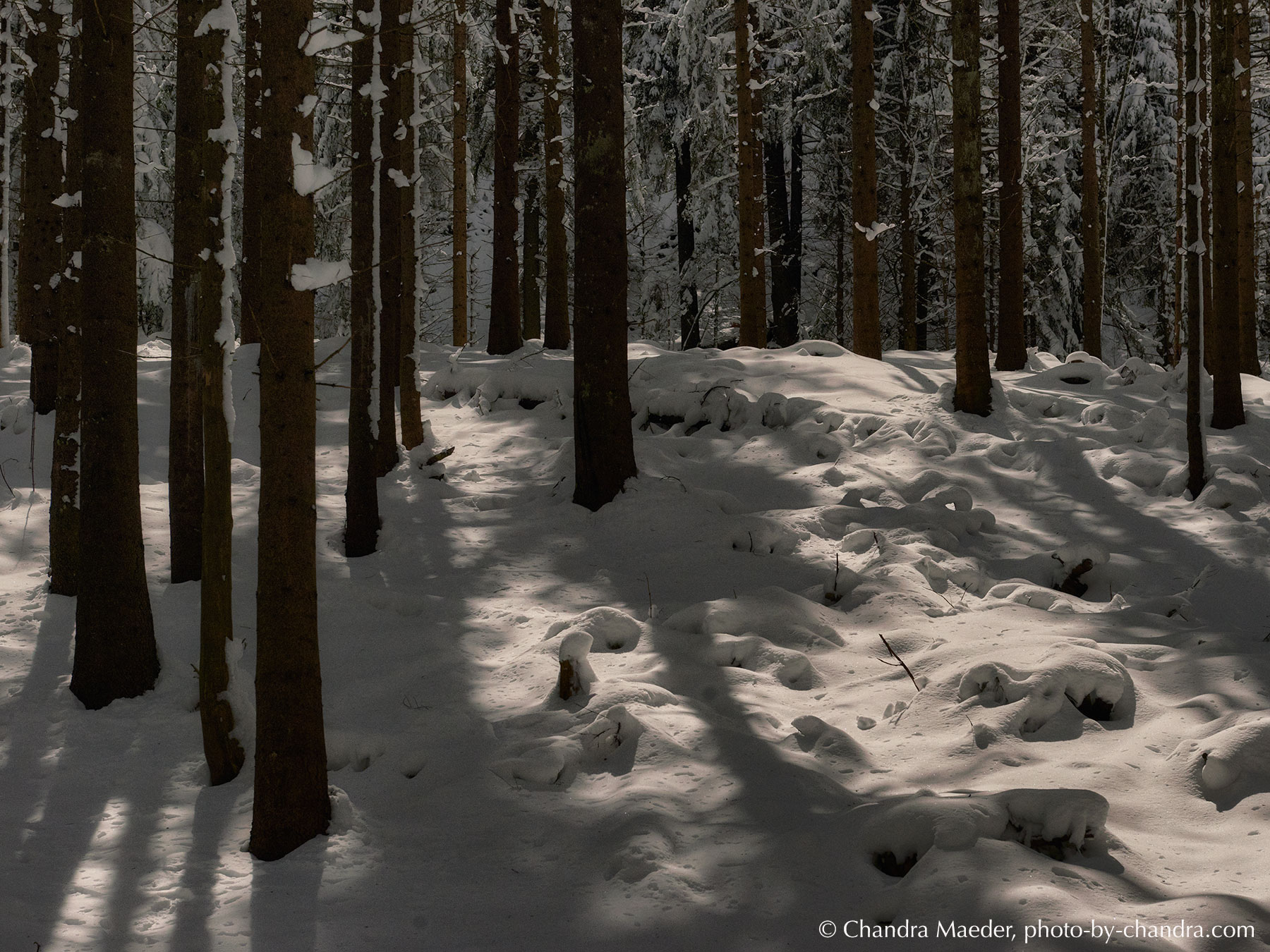 150101_0102-CO20-web