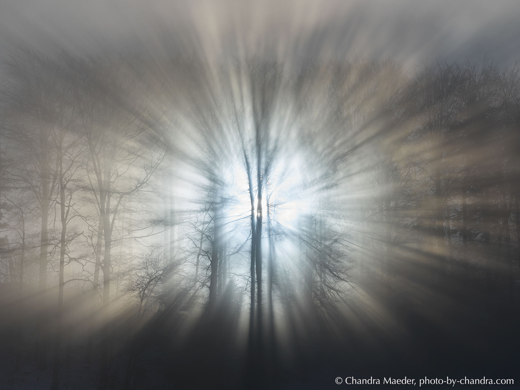 _CHD1719-CO20-web