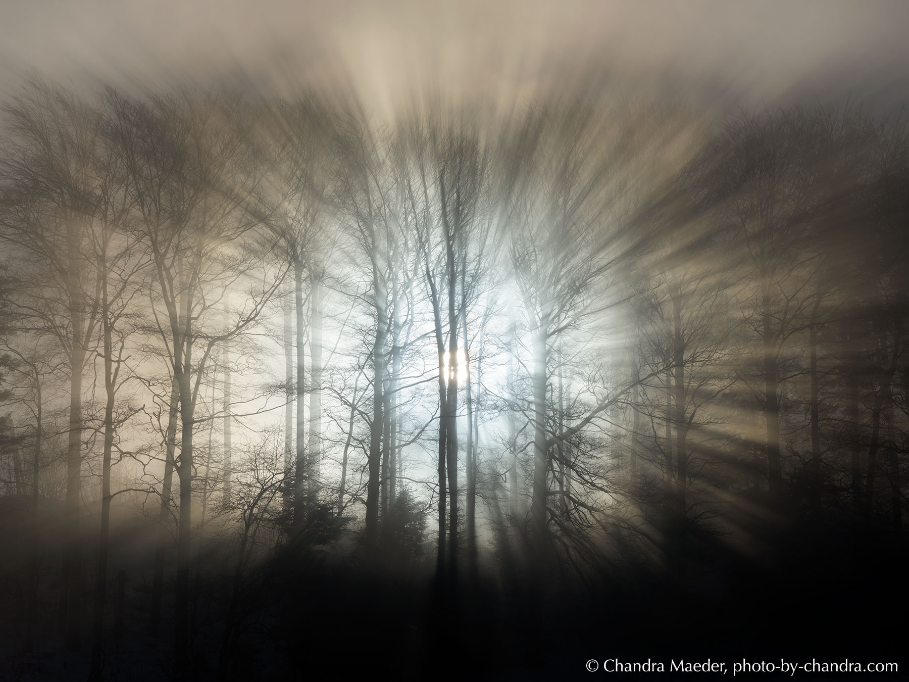 _CHD1720-CO20-web