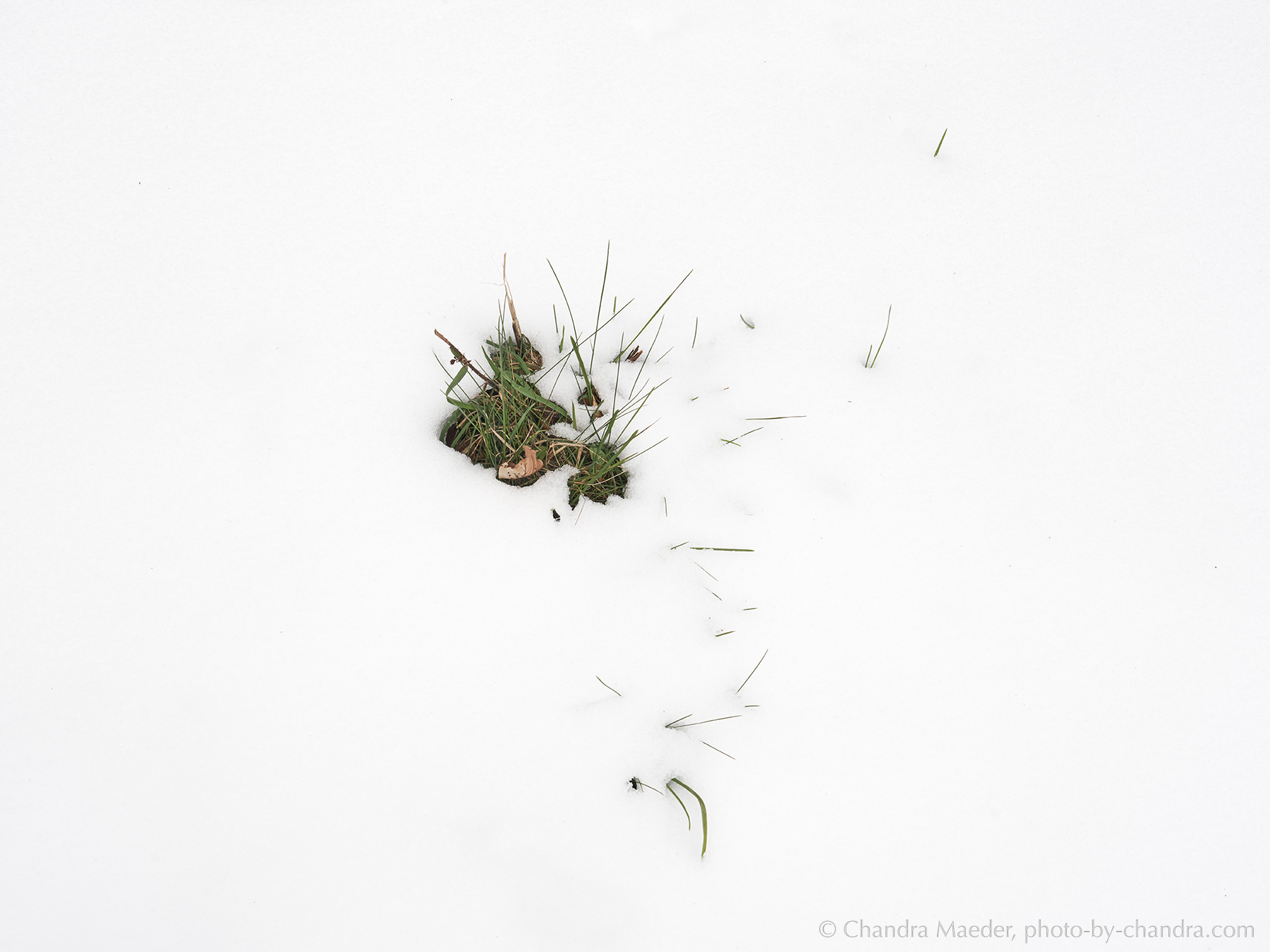 _A7R3917-web