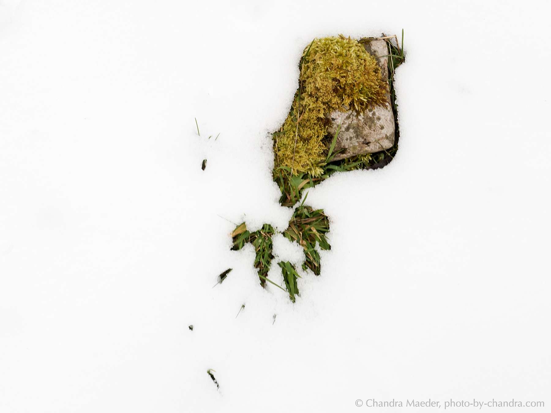 _A7R3924-web